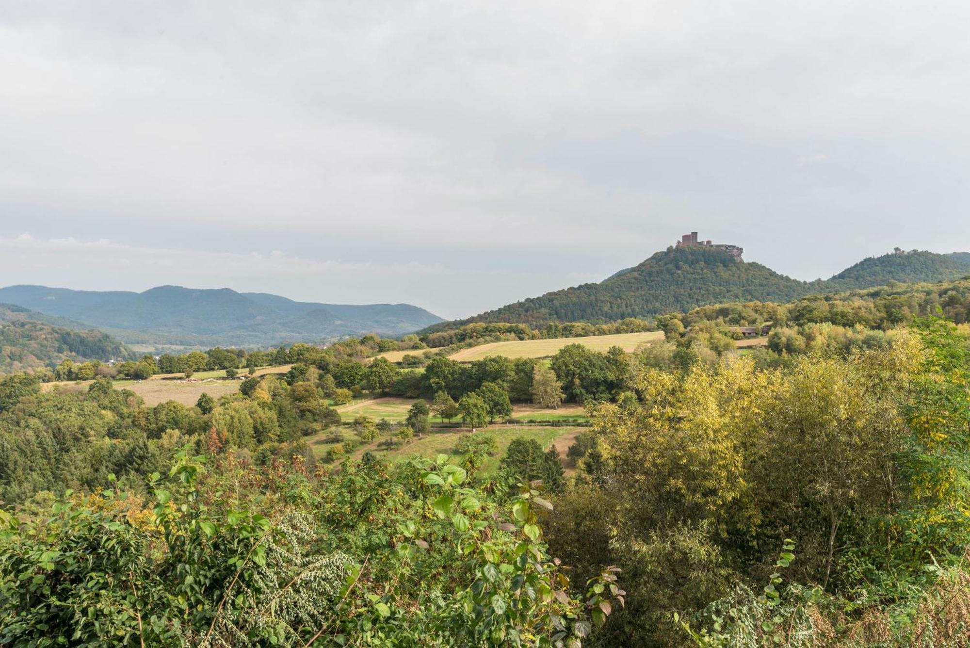 Haus Gartenblick Annweiler am Trifels Buitenkant foto